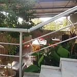 Zeus Apart * Guzelcamlı