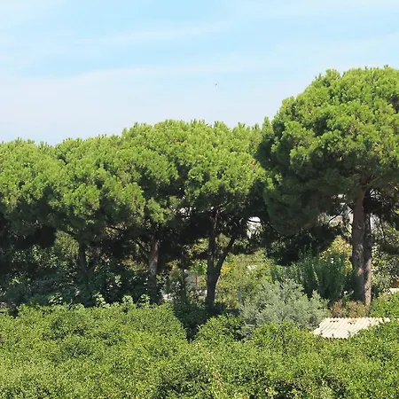 מלון דירות Zeus Apart *